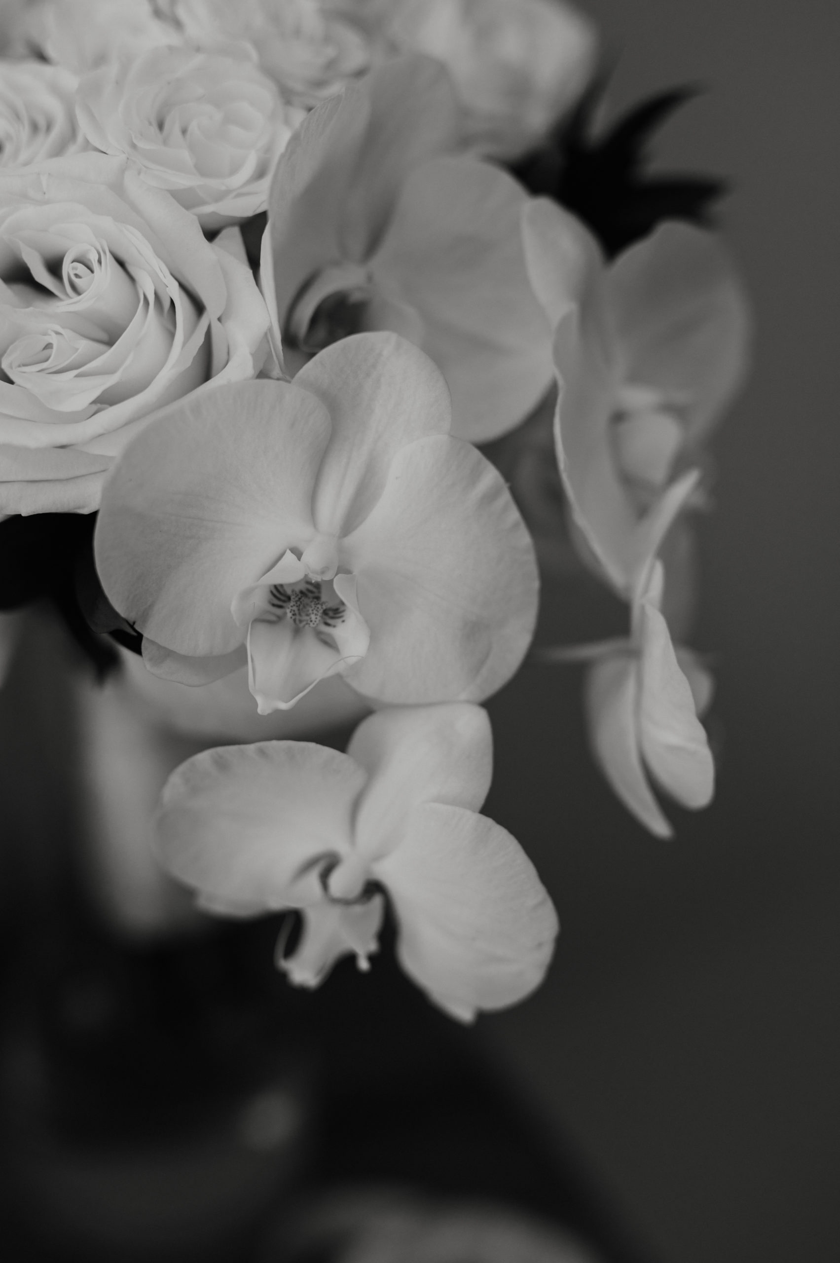 Orchids as bridal flowers
